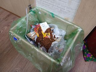 알 수 없음님의 자유주제 · 자유게시판 작성글 사진