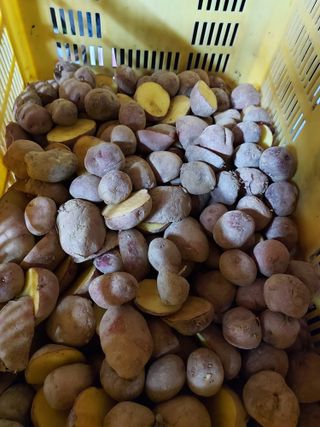 태일농산이정수님의 자유주제 · 자유게시판 작성글 사진