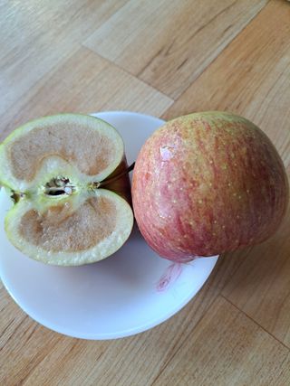 두릅나무16466님의 농사, 무엇이든 물어보세요! · 참여글 작성글 사진