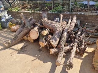 이현상님의 자유주제 · 자유게시판 작성글 사진