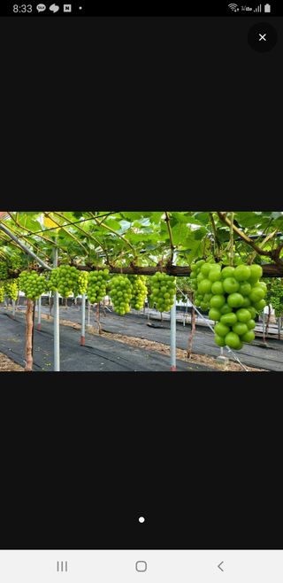 최원석님의 자유주제 · 자유게시판 작성글 사진