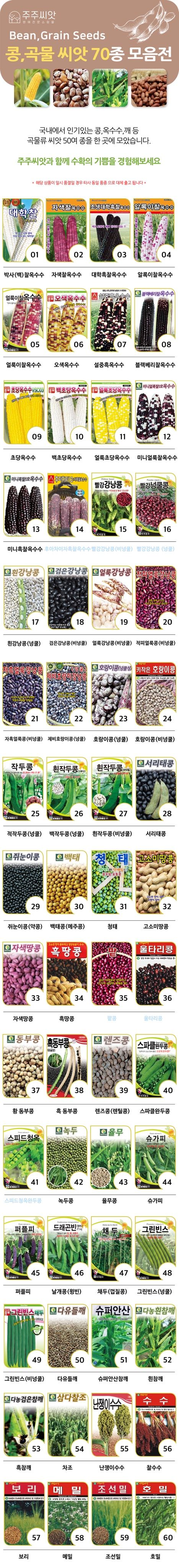 주주씨앗님의 장터 판매 상품 [잡곡류 60종 모음전 (콩 옥수수 깨 등)] 첨부 사진