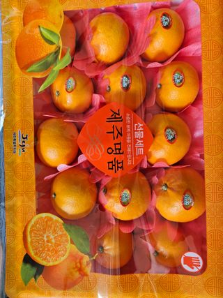 싱싱달코롬님의 작성글 사진