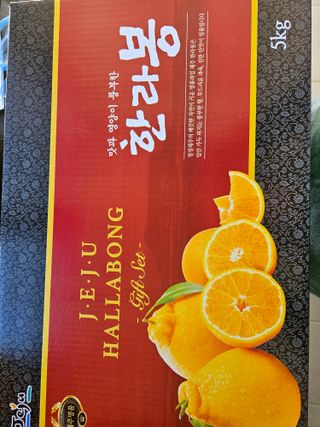 싱싱달코롬님의 작성글 사진