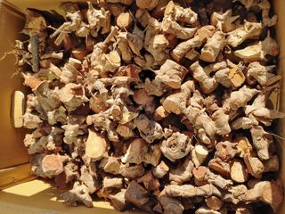 이현상님의 자유주제 · 자유게시판 작성글 사진