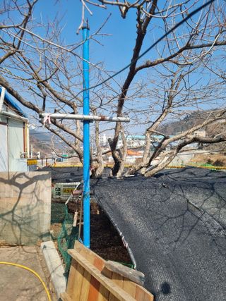 김용대님의 자유주제 · 자유게시판 작성글 사진