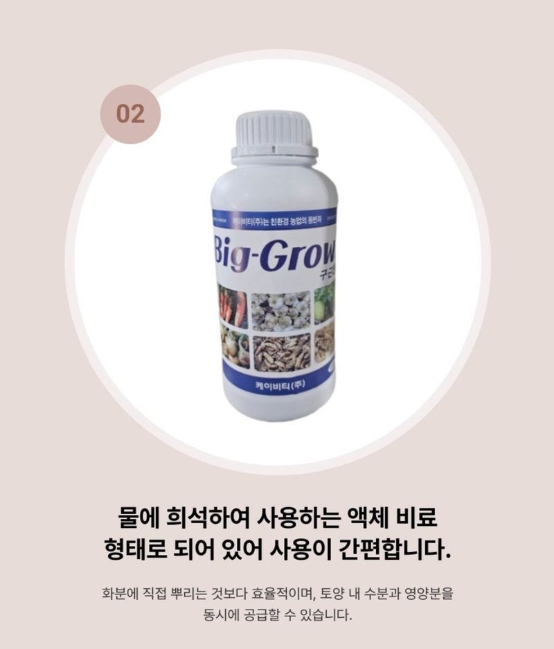 대산농사대장님의 장터 판매 상품 [빅그로우1kg 구근비대 발육 향상제] 첨부 사진