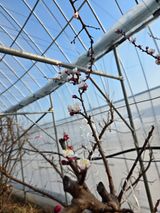 팜모닝 자유주제·자유게시판 게시글 이미지