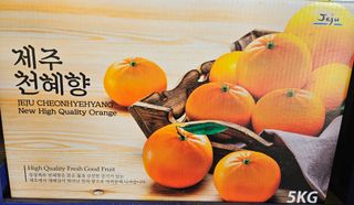 싱싱달코롬님의 작성글 사진