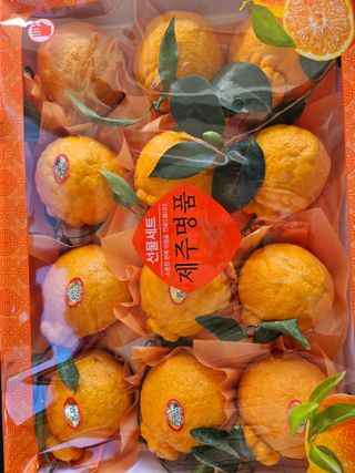 싱싱달코롬님의 작성글 사진