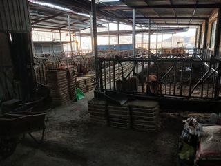 알 수 없음님의 자유주제 · 자유게시판 작성글 사진