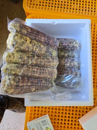 장관덕님의 자유주제 · 자유게시판 작성글 사진