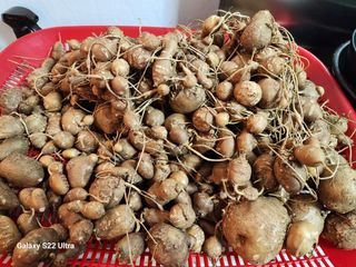 권지연.옥천.님의 자유주제 · 자유게시판 작성글 사진