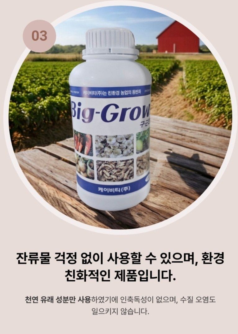대산농사대장님의 장터 판매 상품 [빅그로우1kg 구근비대 발육 향상제] 첨부 사진