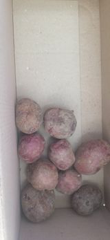 팜모닝 · 게시글 이미지