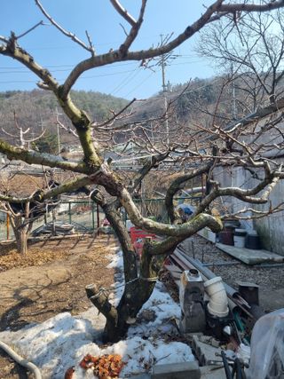 김용대님의 자유주제 · 자유게시판 작성글 사진