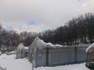 최광연님의 자유주제 · 자유게시판 작성글 사진