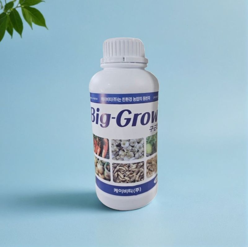 대산농사대장님의 장터 판매 상품 [빅그로우1kg 구근비대 발육 향상제] 첨부 사진