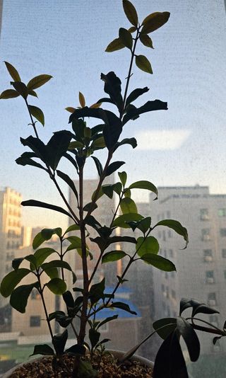 이미옥님의 기타작물 · 자유게시판 작성글 사진