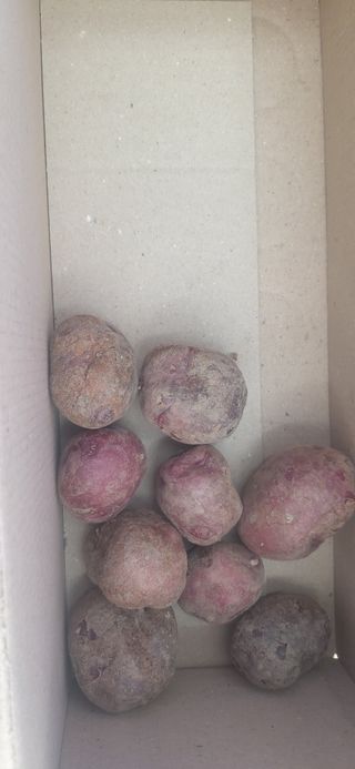 배추16219님의 작성글 사진