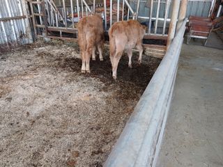알 수 없음님의 자유주제 · 자유게시판 작성글 사진