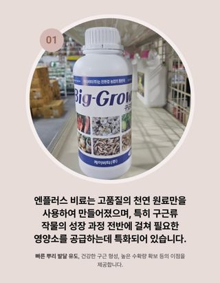 대산농사대장님의 작성글 사진