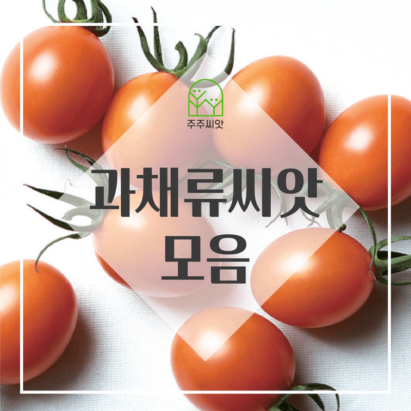 장터 상품 [과채류 씨앗 모음전  ( 100종 )] 썸네일