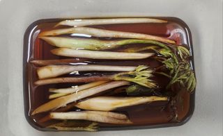 정미리님의 자유주제 · 자유게시판 작성글 사진