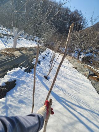 남효제님의 자유주제 · 자유게시판 작성글 사진