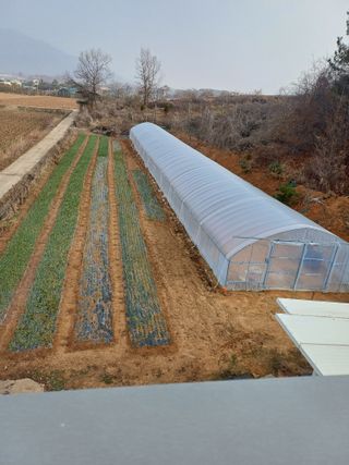 해아래님의 자유주제 · 자유게시판 작성글 사진