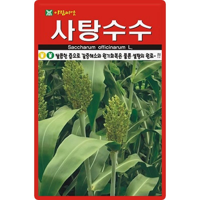장터 상품 [아람 사탕수수 씨 씨앗 30립 5+1 랜덤씨앗 증정] 썸네일