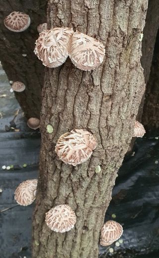 한밭농원님의 자유주제 · 자유게시판 작성글 사진