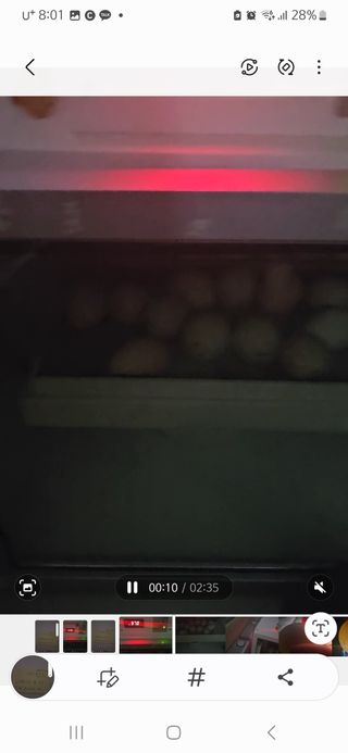 아리엘님의 자유주제 · 자유게시판 작성글 사진