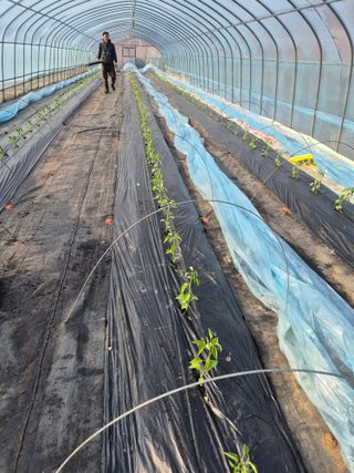 김혜순님의 자유주제 · 자유게시판 작성글 사진