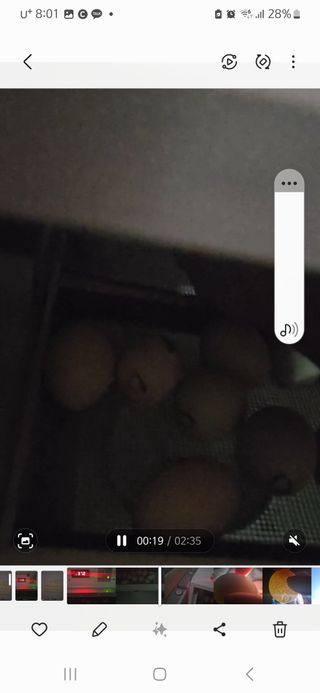 아리엘님의 자유주제 · 자유게시판 작성글 사진