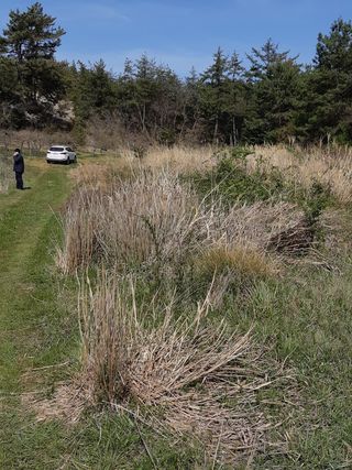 구마수 뻐어나갈 수님의 자유주제 · 자유게시판 작성글 사진