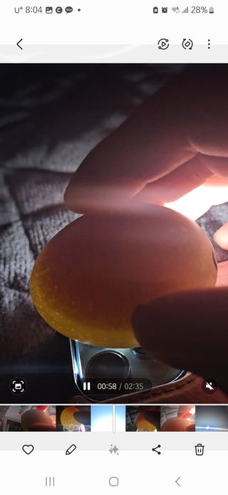 아리엘님의 자유주제 · 자유게시판 작성글 사진