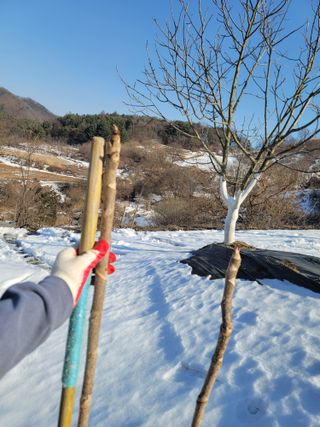 남효제님의 자유주제 · 자유게시판 작성글 사진