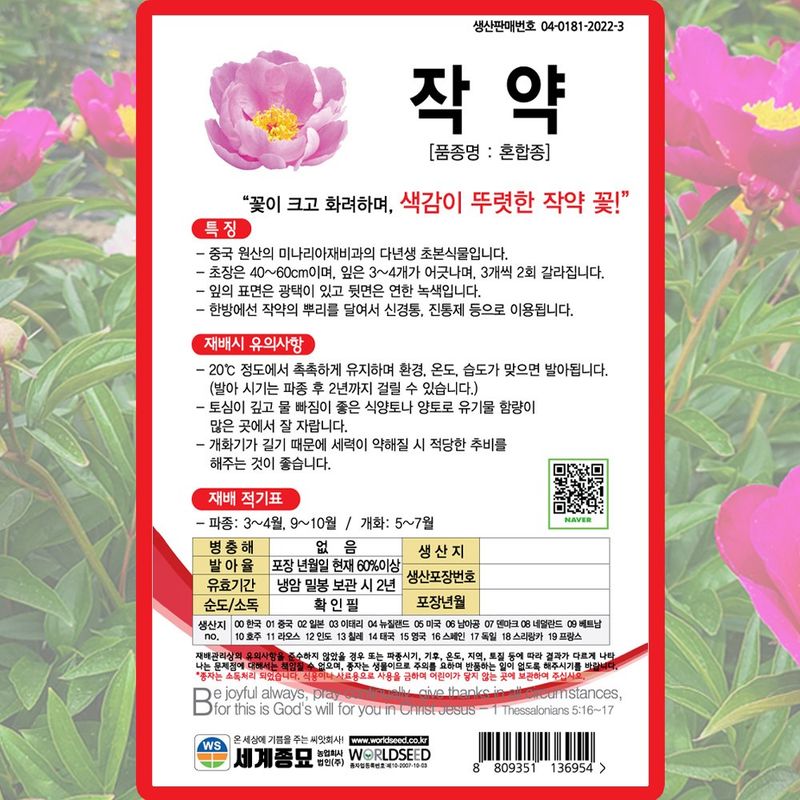 산들마켓,씨앗마켓님의 장터 판매 상품 [세계 작약 꽃씨 꽃시앗 10립  3개 + 랜덤씨앗 1개 증정 무료배송] 첨부 사진