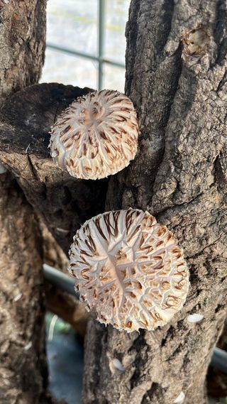 한밭농원님의 자유주제 · 자유게시판 작성글 사진