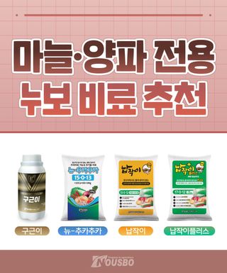누보농장님의 자유주제 · 자유게시판 작성글 사진