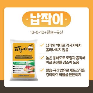 누보농장님의 자유주제 · 자유게시판 작성글 사진