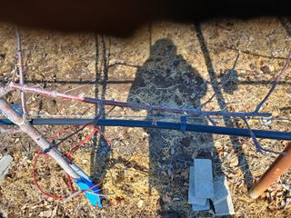 알 수 없음님의 자유주제 · 자유게시판 작성글 사진