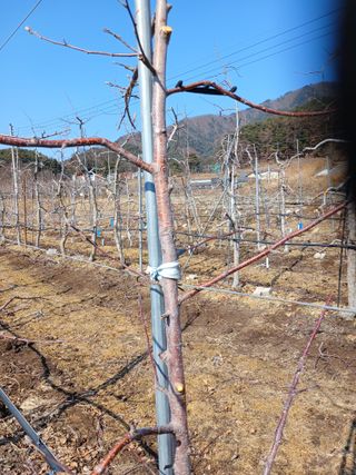 알 수 없음님의 자유주제 · 자유게시판 작성글 사진