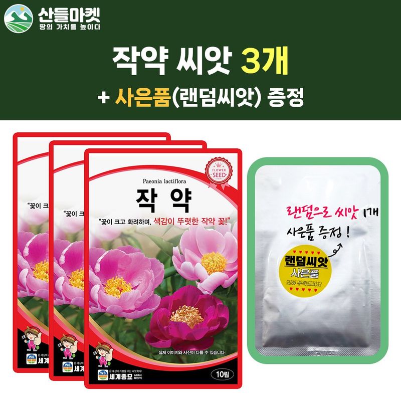 장터 상품 [세계 작약 꽃씨 꽃시앗 10립  3개 + 랜덤씨앗 1개 증정 무료배송] 썸네일