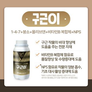 누보농장님의 자유주제 · 자유게시판 작성글 사진