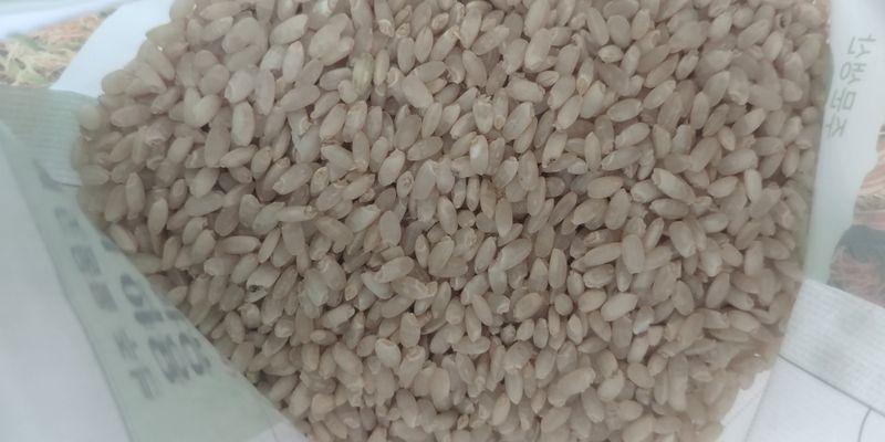 김관수회원님의 장터 판매 상품 [발아현미] 첨부 사진