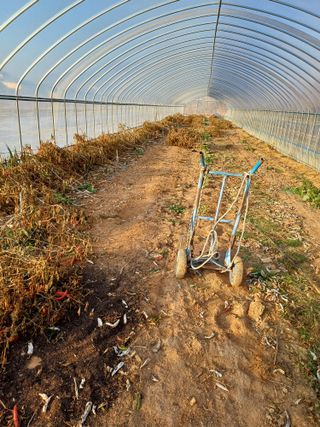 해아래님의 자유주제 · 자유게시판 작성글 사진