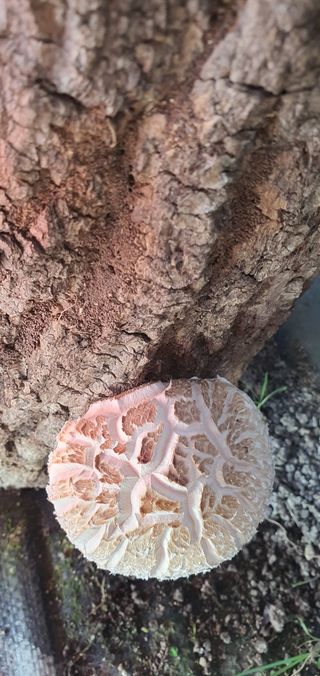 한밭농원님의 자유주제 · 자유게시판 작성글 사진