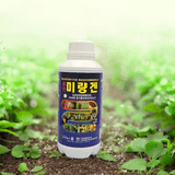 팜모닝 · 게시글 이미지